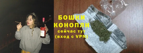 ПСИЛОЦИБИНОВЫЕ ГРИБЫ Балабаново