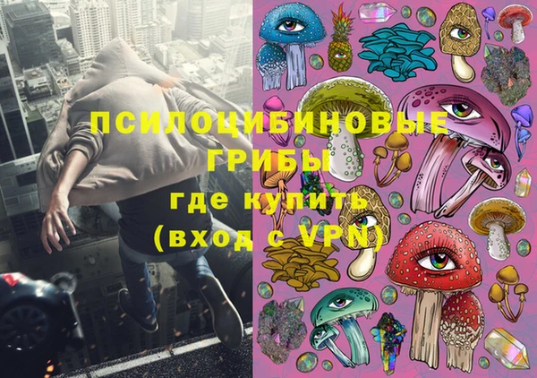 ПСИЛОЦИБИНОВЫЕ ГРИБЫ Балабаново