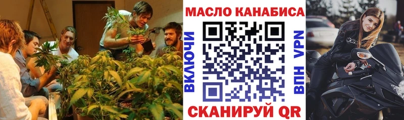 где купить   Лодейное Поле  Дистиллят ТГК гашишное масло 