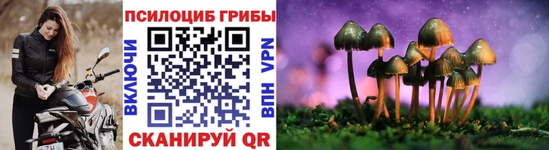Псилоцибиновые грибы Magic Shrooms  ссылка на мегу tor  Лодейное Поле 