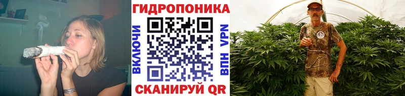 hydra   Лодейное Поле  МАРИХУАНА SATIVA & INDICA 